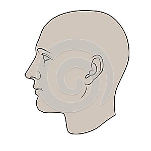 Hand Drawn Human Head in Profile