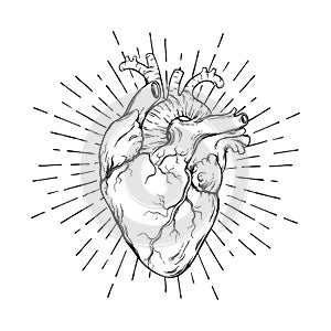 Hand drawn human heart with sunburst anatomically correct art. Flash tattoo or print design vector illustration photo