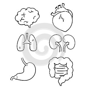 Hand drawn human internal organs icon set with lungs kidneys stomach intestines brain heart spleen and liver. doodle cartoon