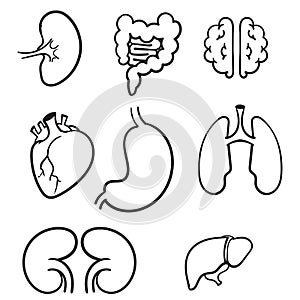 Hand drawn human internal organs icon set with lungs kidneys stomach intestines brain heart spleen and liver. doodle cartoon