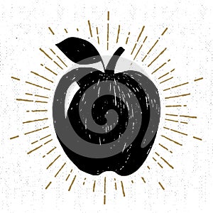 Hand drawn icon with textured apple vector illustration