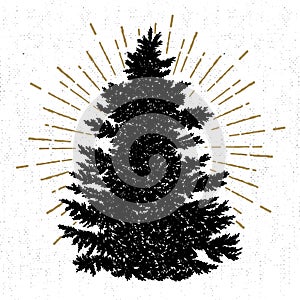 Hand drawn icon with a textured fir tree vector illustration