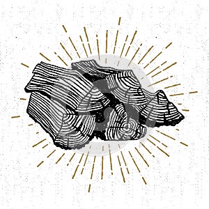Hand drawn icon with a textured wood pile vector illustration