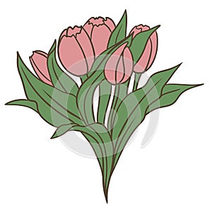 Hand drawn illsutration of two wild flowers rose tulip. Green leaves branch, pink blush orange flower floral petal