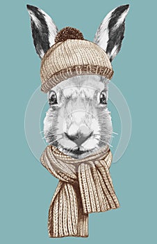 Portrait of Hare with hat and scasrf, hand-drawn illustration