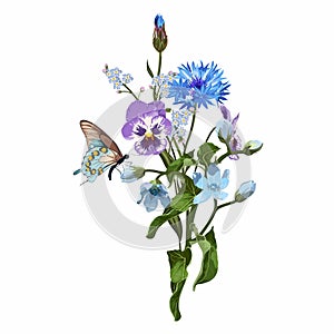Hand drawn illustration of a beautiful oxypetalum and garden, wild spring blue flowers bouquet.