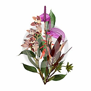 Hand drawn illustration of a beautiful tropical flowers , eucaliptus branch bouquet.
