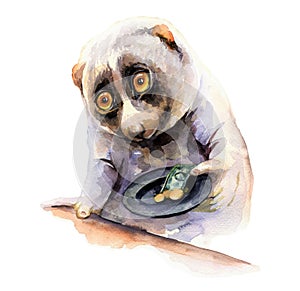 Hand-drawn illustration with a beggar lemur lory.