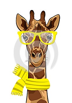 Hand drawn Illustration character of dressed up giraffe hipster with yellow glasses