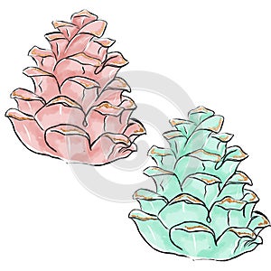 HAND DRAWN ILLUSTRATION OF CHRISTMAS PINE CONES