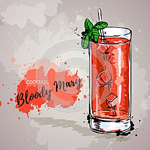 Hand drawn illustration of cocktail bloody mary.