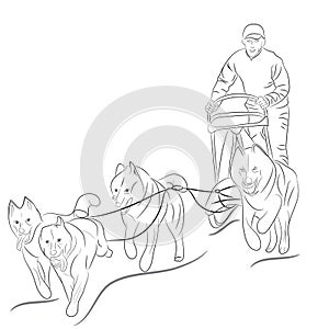 Hand drawn illustration of dogs pulling a sled