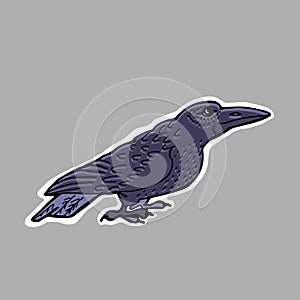 Hand drawn illustration. Evil black raven. Sticker. Carto