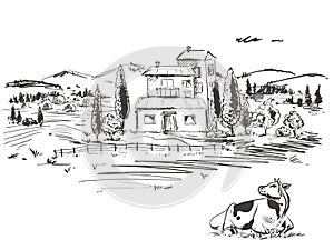 Hand drawn illustration with farm and cow, field. sketh. Vector eps 8. photo