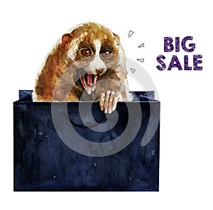 Hand-drawn illustration with funny lemur lory with the inscription `Big Sale`