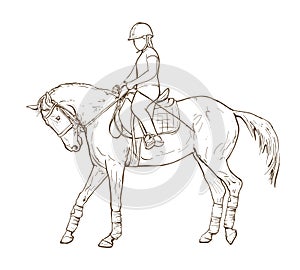 Hand drawn illustration of girl horse rider performing equine training, horse riding, vector