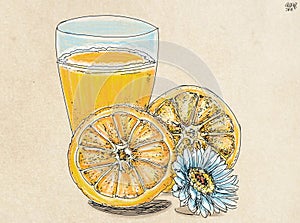 hand drawn illustration of a glass of orange juice with slice and flower