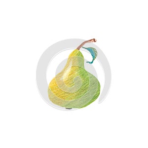 Hand-drawn illustration of a green, yellow pear with a leaf isolated on white background