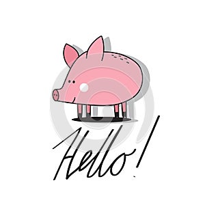 Hand drawn illustration, happy pig, english text. Colorful background, funny animal. Hello!