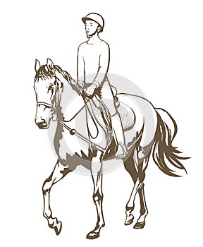 Hand drawn illustration of horse rider woman performing equine training, horse riding, horse stallion with jockey drawing