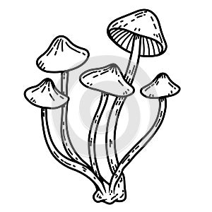 Hand drawn illustration of mushrooms. Design element for decoration.