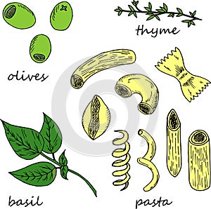 Hand drawn illustration of pasta ingredients in cartoon style.