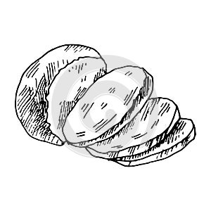 Hand drawn illustration of piece of cheese