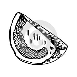 Hand drawn illustration of piece of tomato