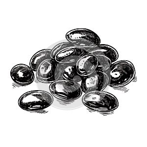 Hand-drawn illustration of a pile of black beans ink sketch