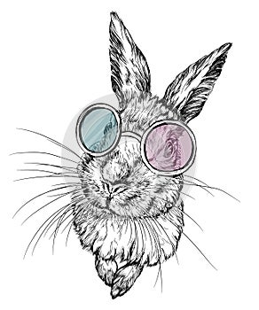 Hand drawn illustration of a rabbit in glasses