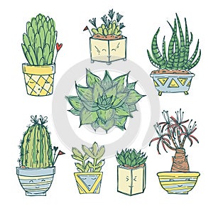 Hand drawn illustration - Set of cute cactus and succulents.
