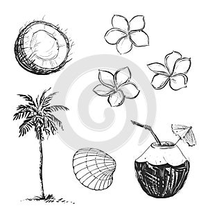 Hand drawn illustration set of palm and coconut, umbrella, milk. sketch. Vector eps 8
