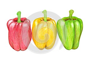 Hand-drawn illustration of three bell peppers