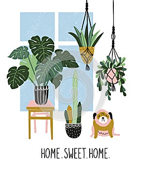 Hand drawn illustration with tropical house plants, window and cute dog. Vector poster design with text - `home sweet home`. photo