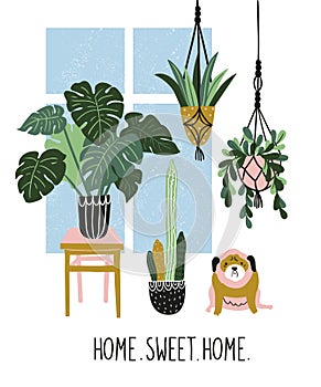 Hand drawn illustration with tropical house plants, window and cute dog. Vector poster design with text - `home sweet home`.