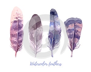 Hand drawn illustration - Watercolor feathers collection.