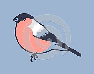 Hand drawn illustration winter bird. Creative ink art work. Actual vector drawing photo