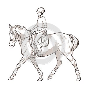 Hand drawn illustration of young woman horse rider performing equine training, sport horse riding, vector illustration