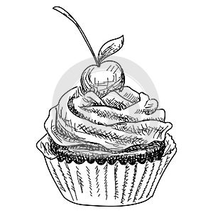 Hand-drawn illustrations of dessert