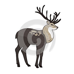 hand drawn image of buck with large antlers cute deer. vector illustration animal isolated on white background for hunting