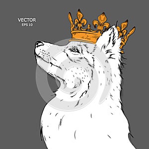 Hand drawn Image Portrait of dog in the crown. Use for print, posters, t-shirts. Vector illustration.