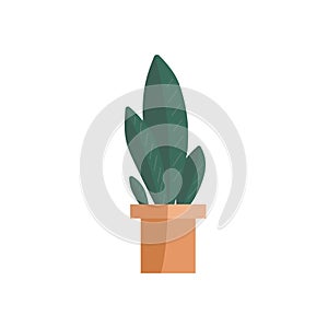 Hand drawn indoor plant in potted decorative plants for home and office vector flat.