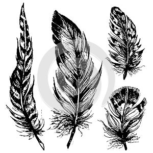 Hand drawn ink feathers set