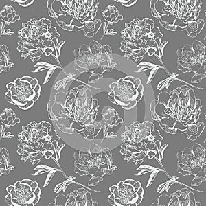 Hand drawn ink peonies in asian style, monohrome raster.