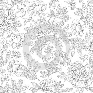 Hand drawn ink peonies. Seamless pattern of contour flowers.