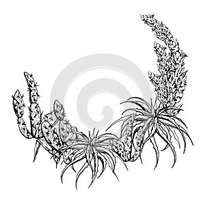 Hand drawn ink vector illustration, nature tropical exotic desert plant succulent cactus aloe agave leaves. Wreath frame