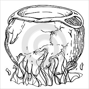 Hand drawn ink vector witch cauldron pot with fire. Sketch illustration art for witchcraft, medicine, chemistry, alchemy