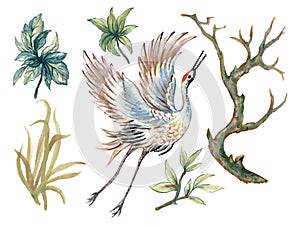 Hand drawn inspired by chinese Korean and Japan forest tree garden and crane bird elements on white background