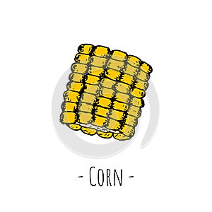 Corn. Vector cartoon illustration. Isolated. Hand-drawn style