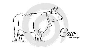 Hand-drawn isolated Cow on white background. Line design
